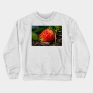 Strawberry 3 Crewneck Sweatshirt